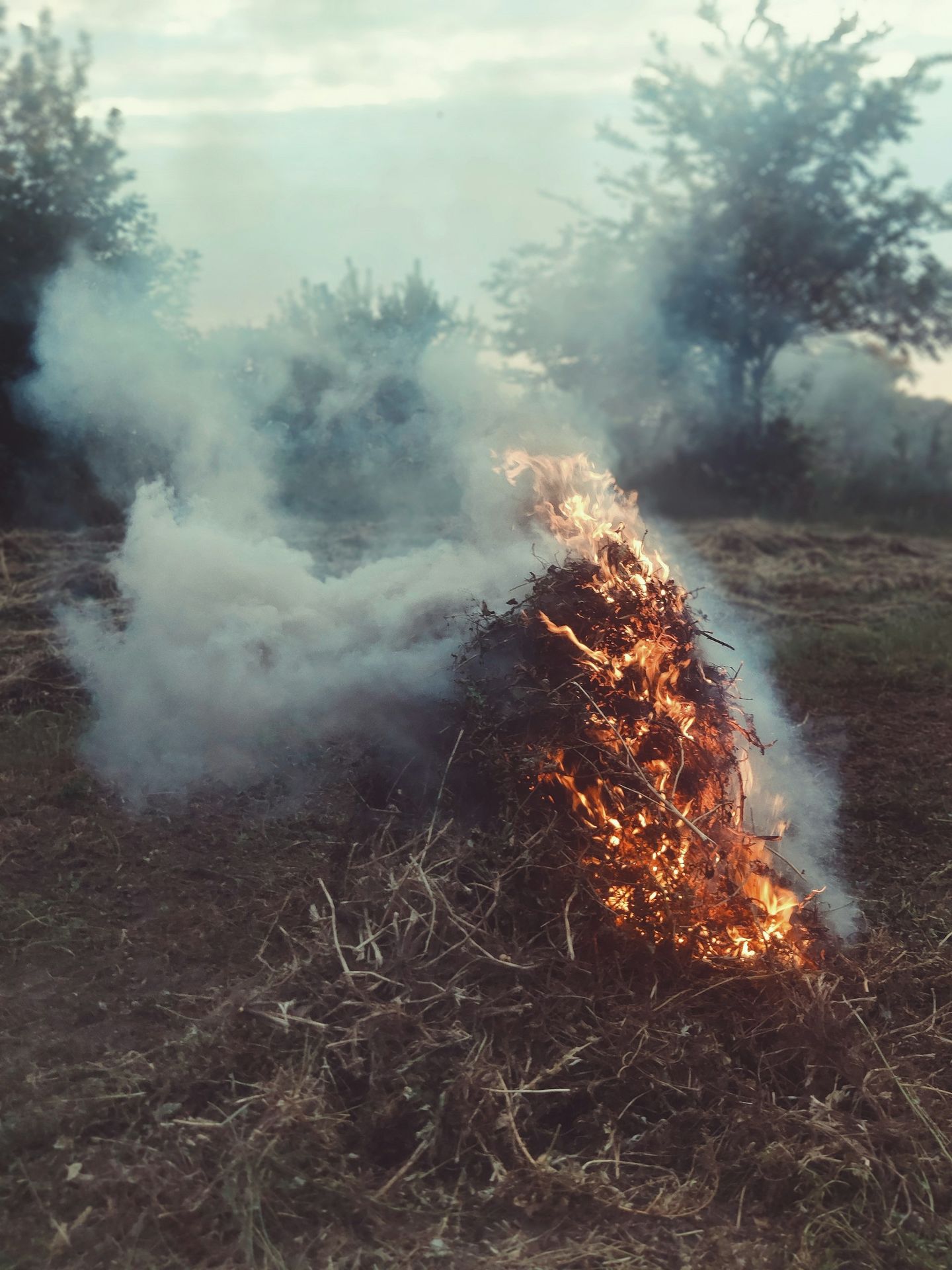 brown grass field with white smoke